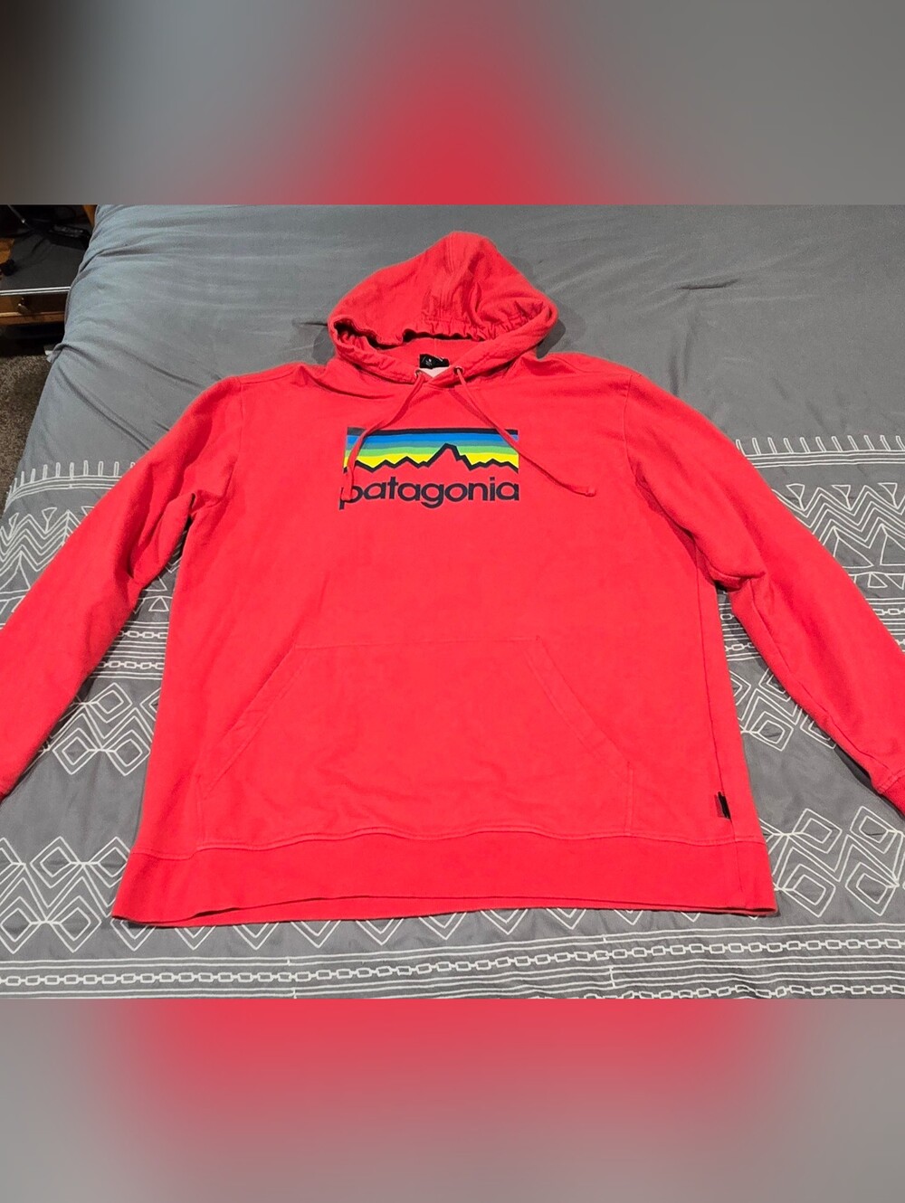 Patagonia Mens Logo Hoodie Size XL